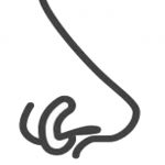 BODYJEWELRY